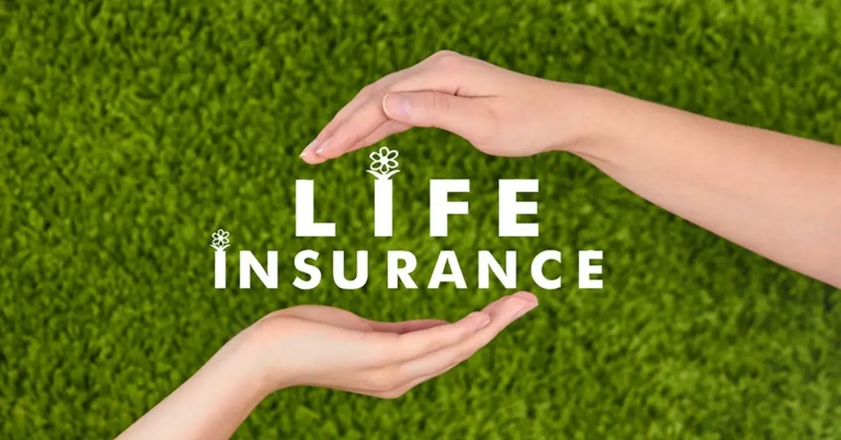 MyWebInsurance Life Insurance: Easier Protection for Loved Ones